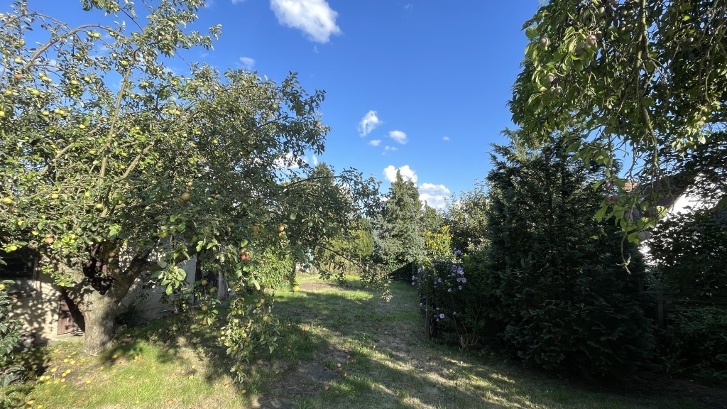 Gartenbereich